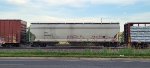 CEFX 389259